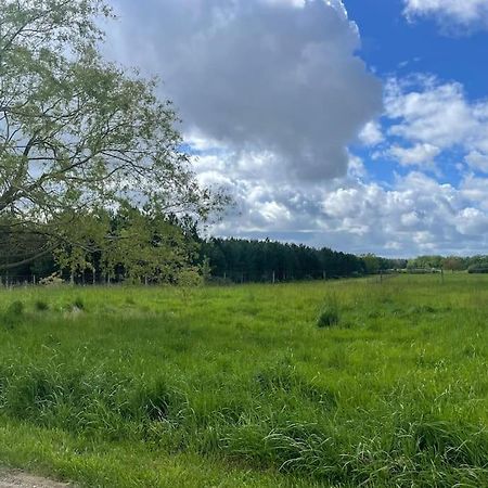 Gite Le Village Des Champs Soings-en-Sologne Esterno foto
