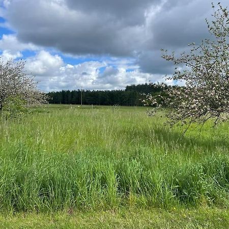 Gite Le Village Des Champs Soings-en-Sologne Esterno foto