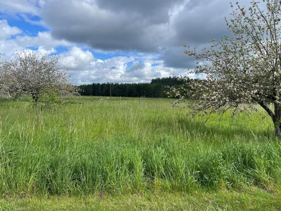 Gite Le Village Des Champs Soings-en-Sologne Esterno foto